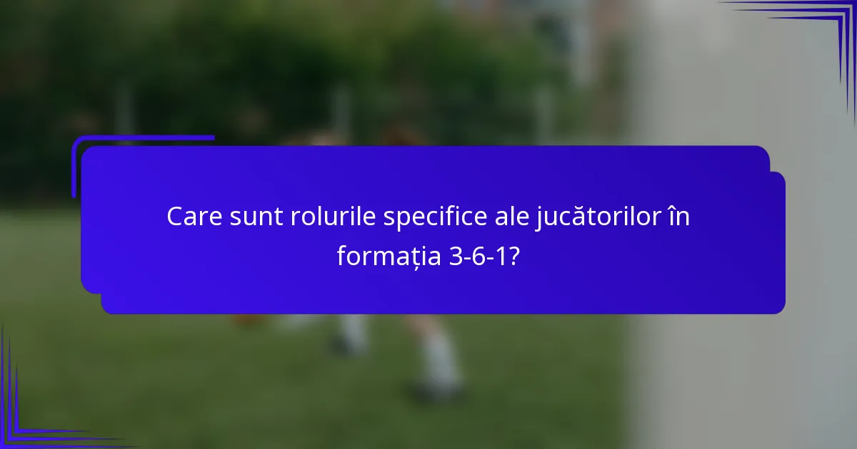Care sunt rolurile specifice ale jucătorilor în formația 3-6-1?